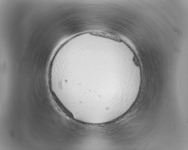 X0000115621104200912081018