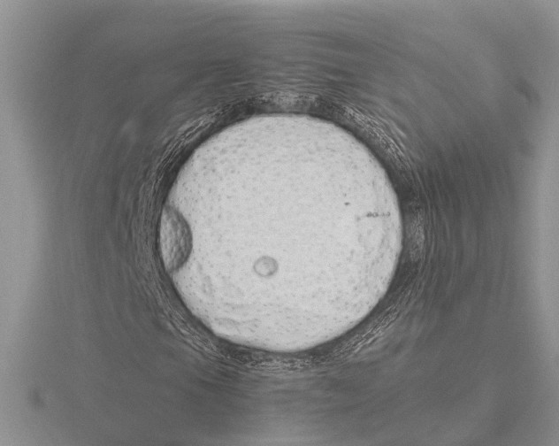 X0000115621105200912081017