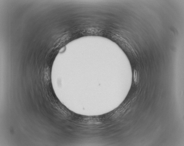 X0000115621107200912081017