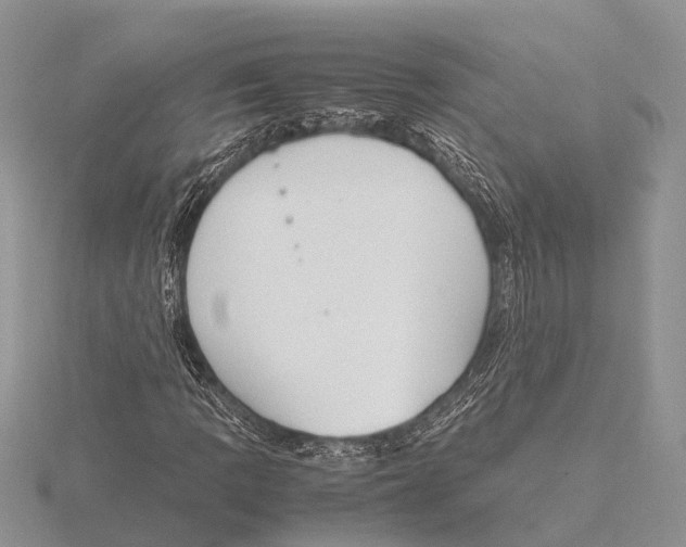 X0000115621109200912081017