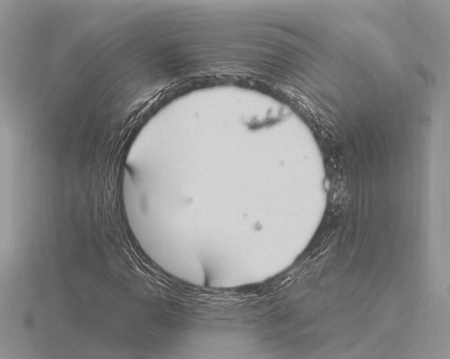 X0000115621110200912081017