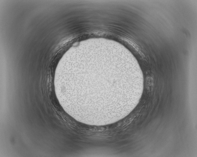 X0000115621111200912081017