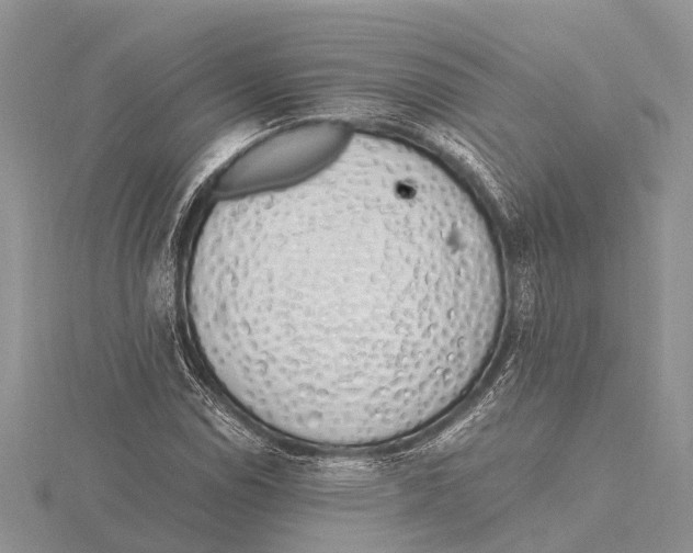 X0000115621114200912081017