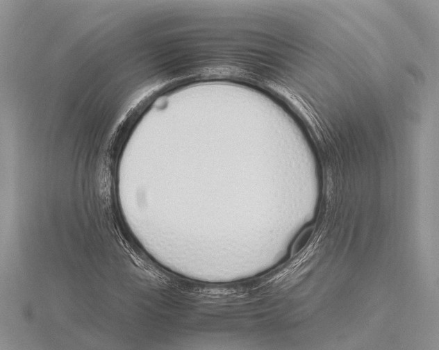 X0000115621115200912081017