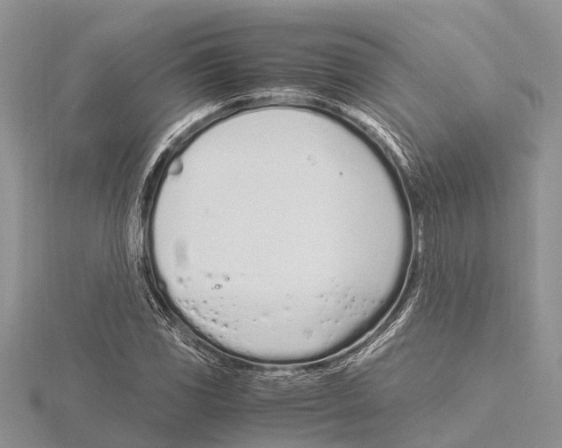 X0000115621117200912081017