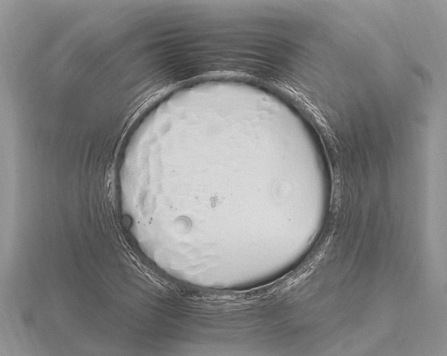 X0000115621121200912081017