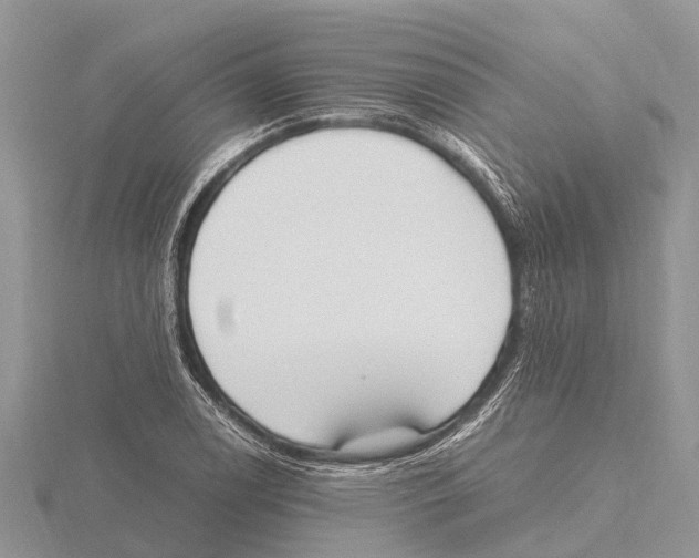 X0000115621122200912081017