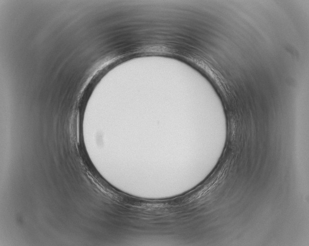 X0000115621123200912081017