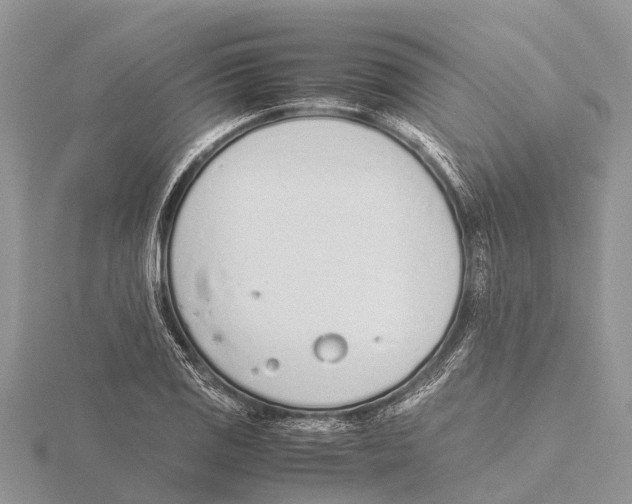 X0000115621125200912081017