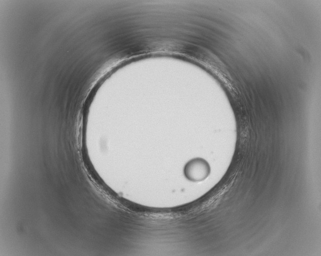 X0000115621126200912081017