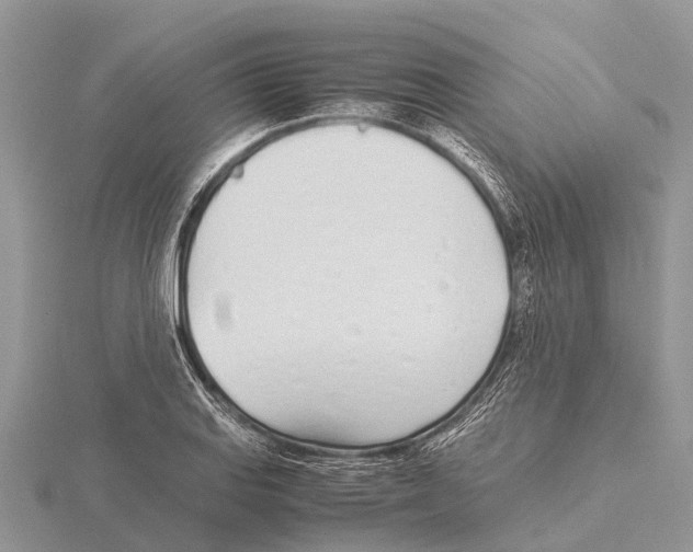 X0000115621127200912081017