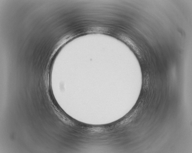 X0000115621130200912081017