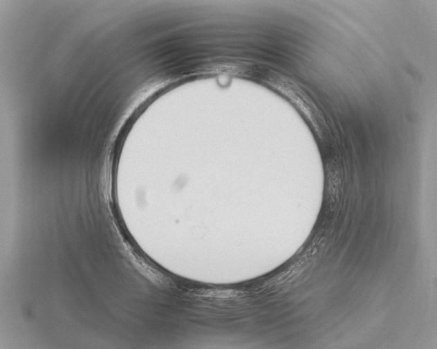 X0000115621131200912081017