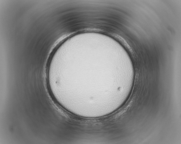 X0000115621133200912081017