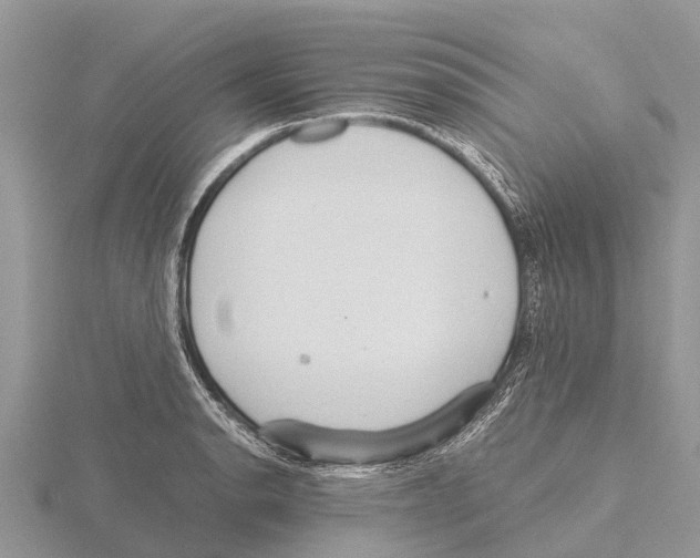 X0000115621134200912081017