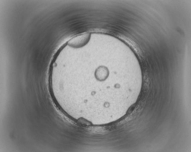 X0000115621135200912081018