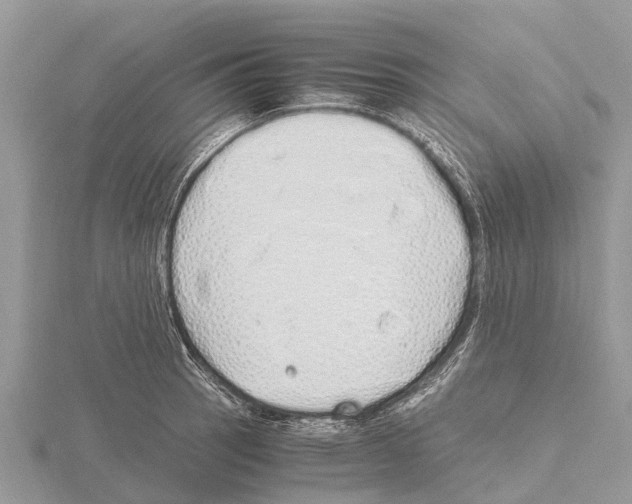 X0000115621137200912081018