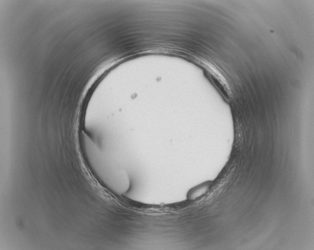 X0000115621138200912081018