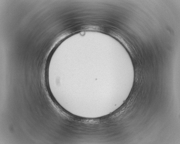 X0000115621139200912081018