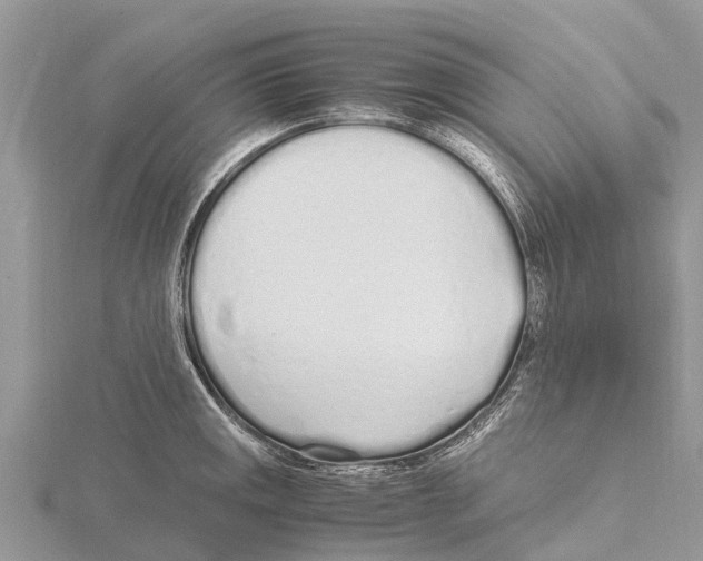 X0000115621141200912081018