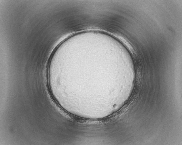 X0000115621142200912081018