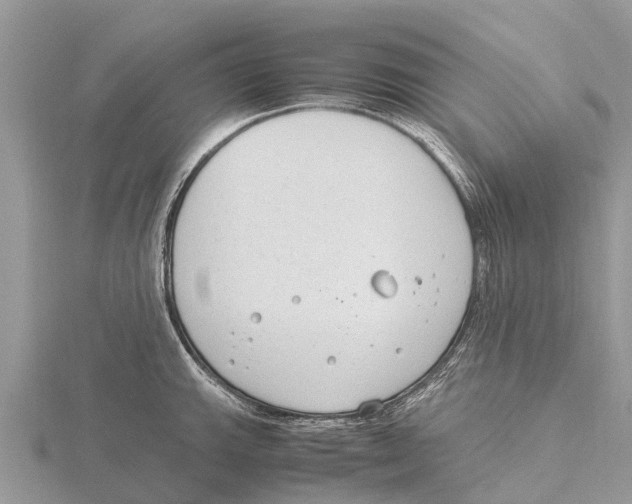 X0000115621143200912081018