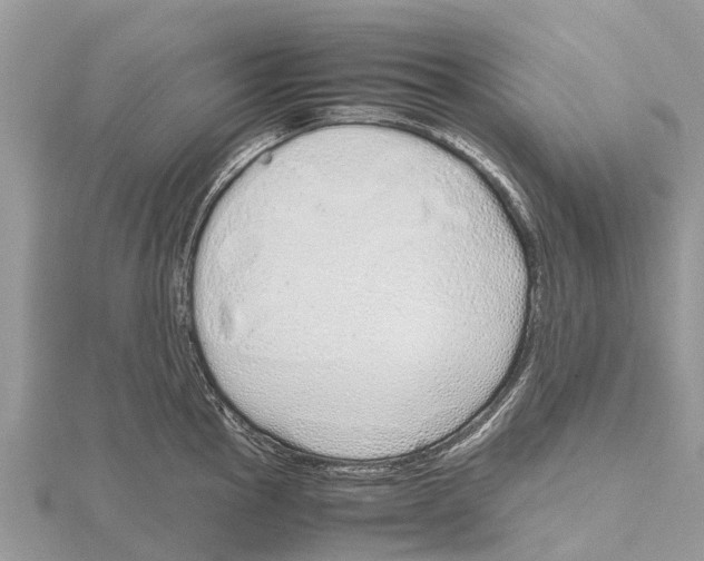 X0000115621145200912081018