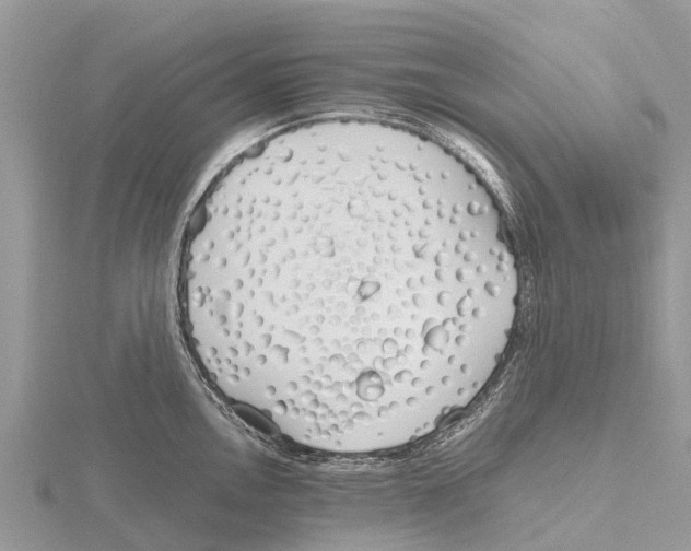 X0000115621146200912081018