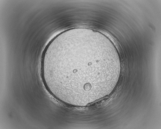 X0000115621147200912081018