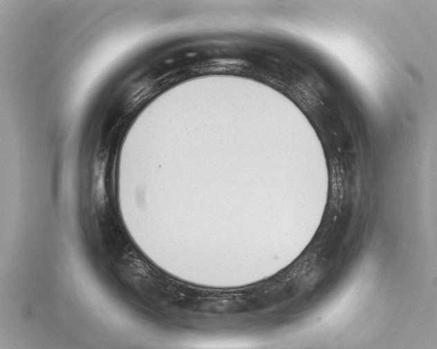 X0000115621150200912081018