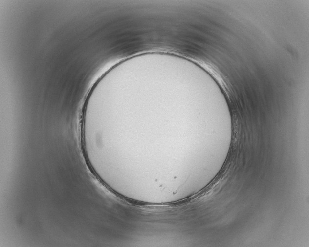 X0000115621151200912081018