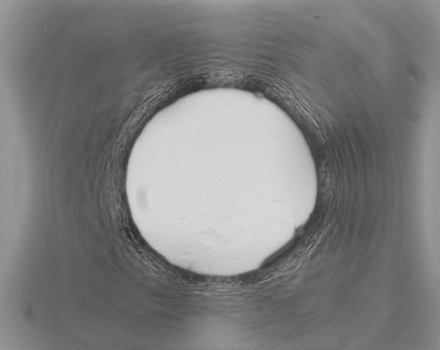 X0000115621153200912081017