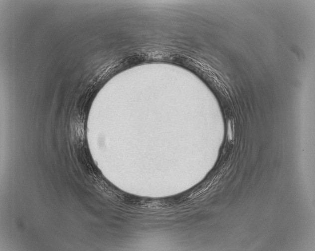 X0000115621155200912081017