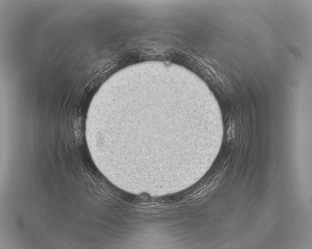 X0000115621156200912081017