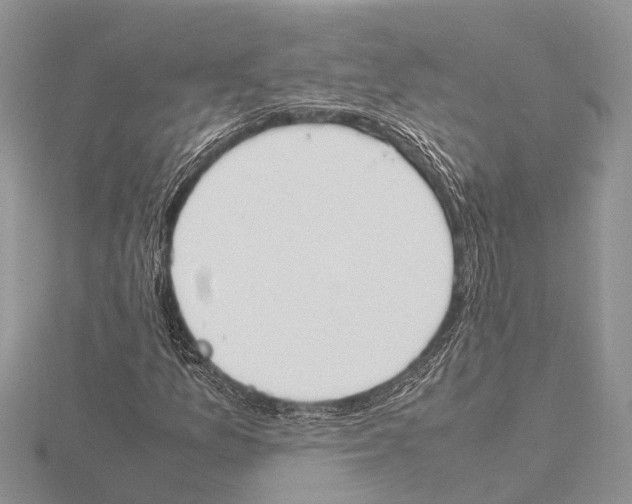 X0000115621157200912081017