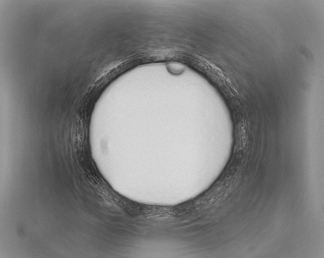 X0000115621158200912081017