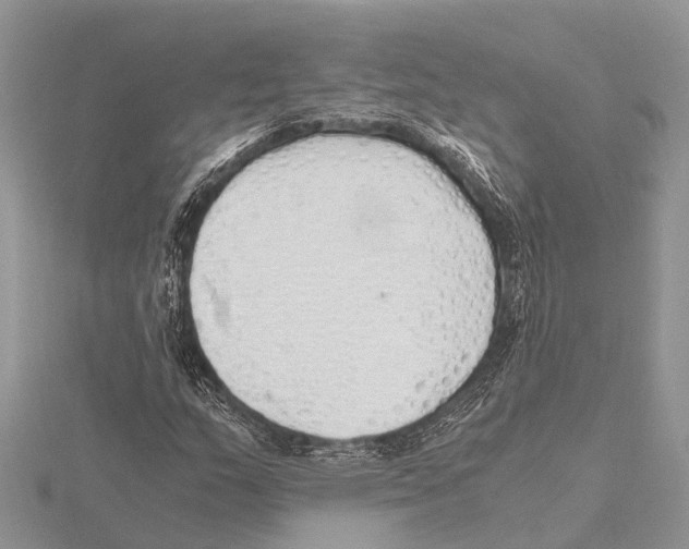 X0000115621159200912081017