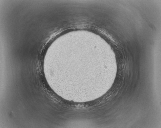 X0000115621160200912081017