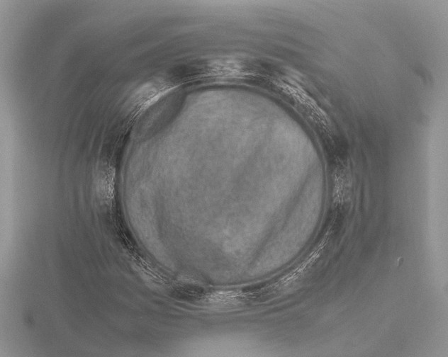 X0000115621161200912081017