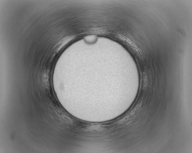 X0000115621162200912081017