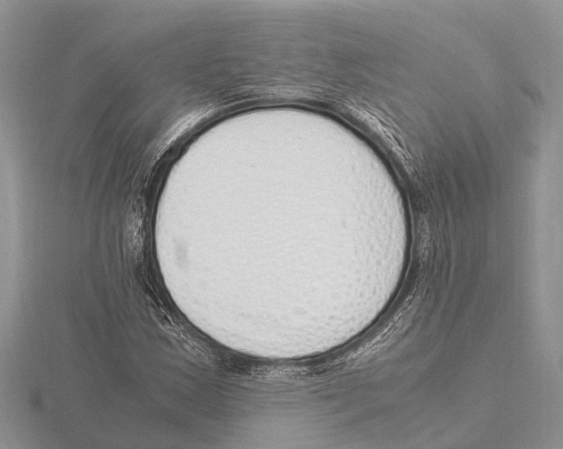 X0000115621163200912081017