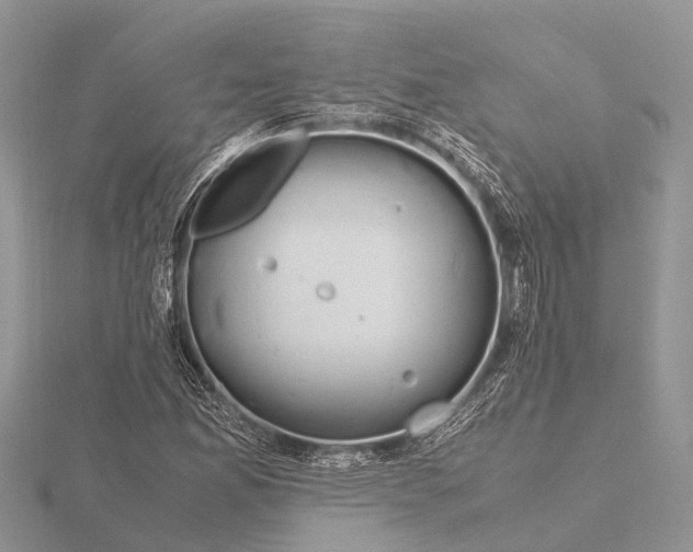 X0000115621165200912081017