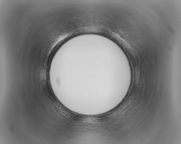 X0000115621166200912081017