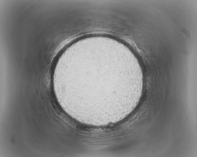 X0000115621167200912081017