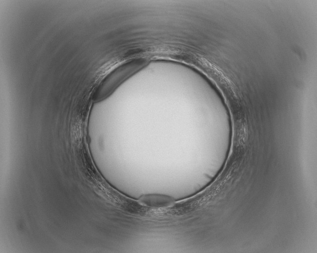 X0000115621169200912081017