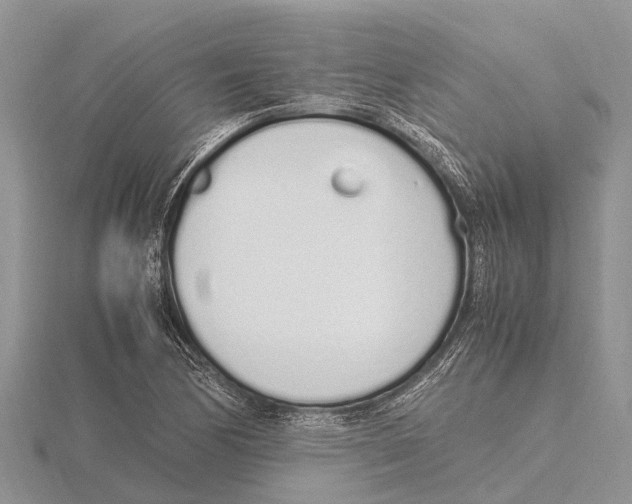 X0000115621170200912081017