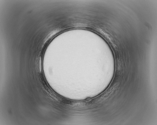 X0000115621171200912081017