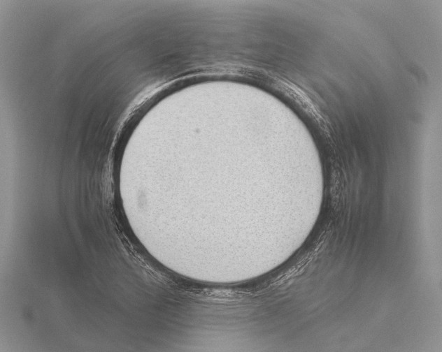 X0000115621172200912081017