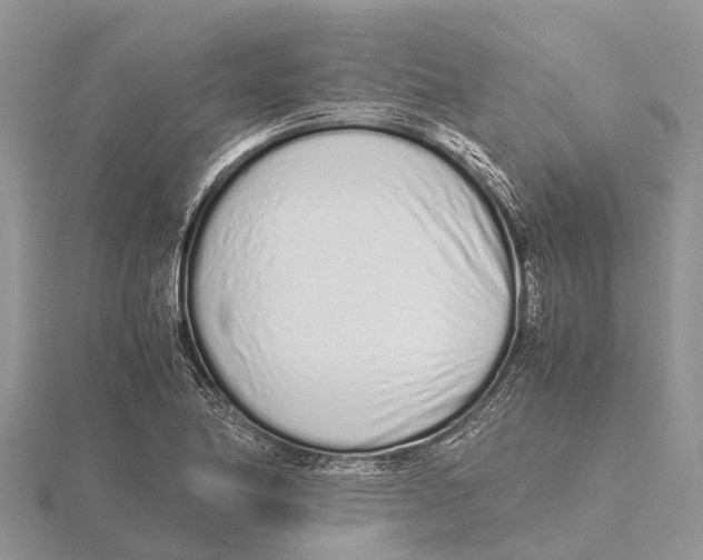 X0000115621174200912081017