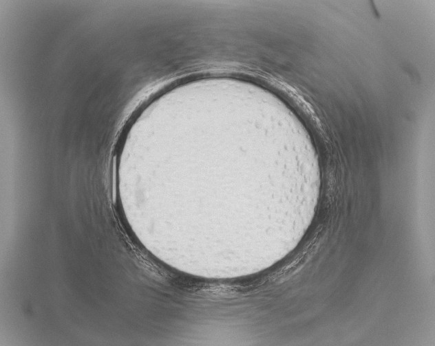 X0000115621175200912081017